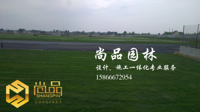 苗木基地展示：公司位于董家镇草坪、苗木基地